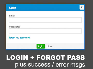 Login Example